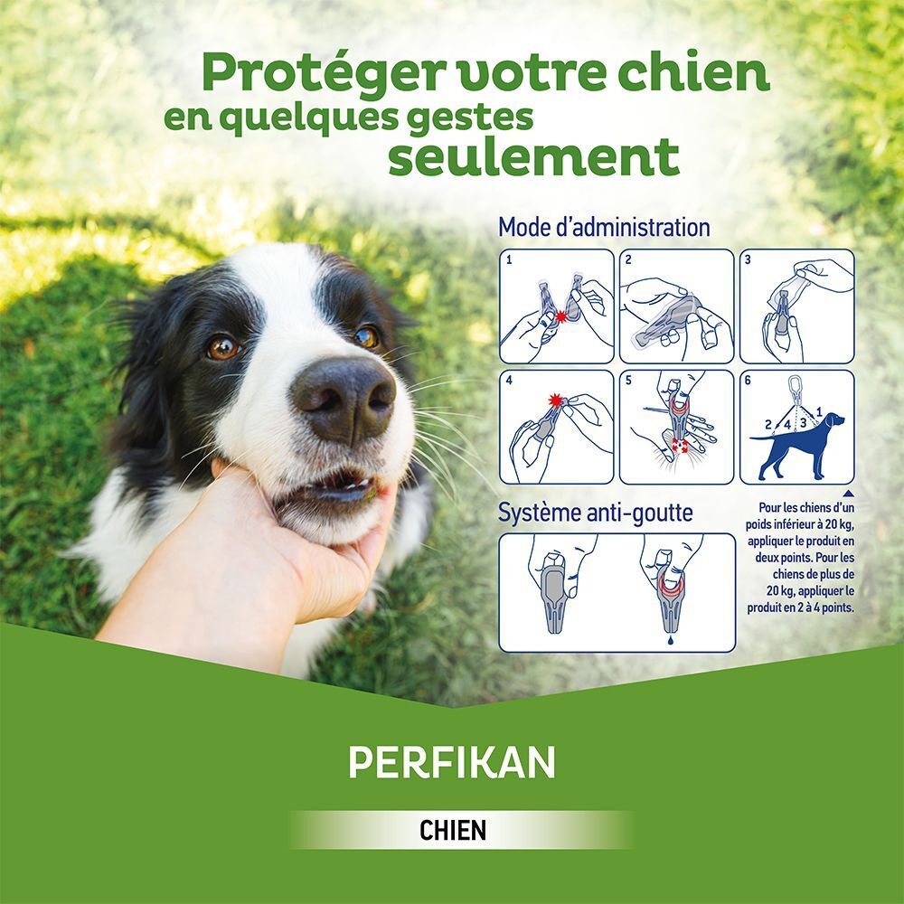Instructions d'application du produit antiparasitaire pour chiens. Application simple.