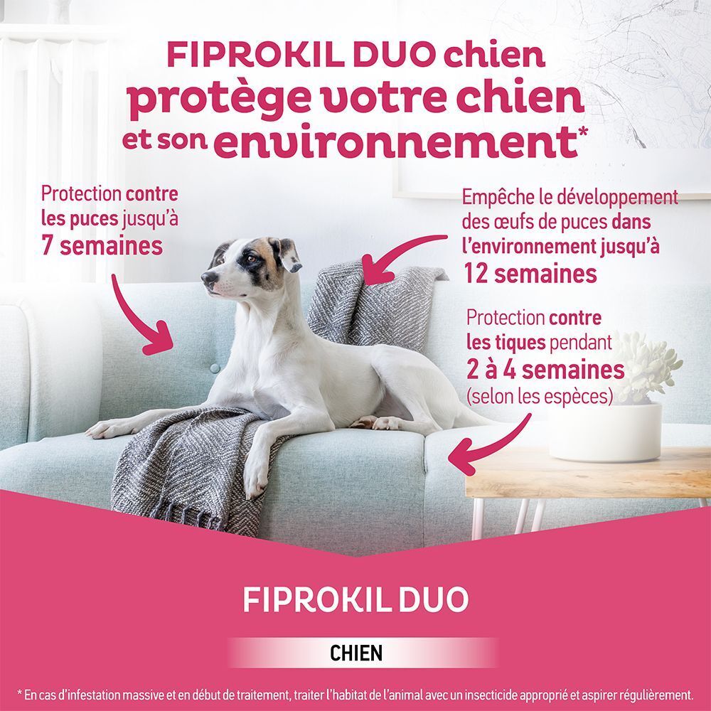 Un chien assis sur un canapé, avec des flèches et du texte décrivant la protection contre les puces et tiques.