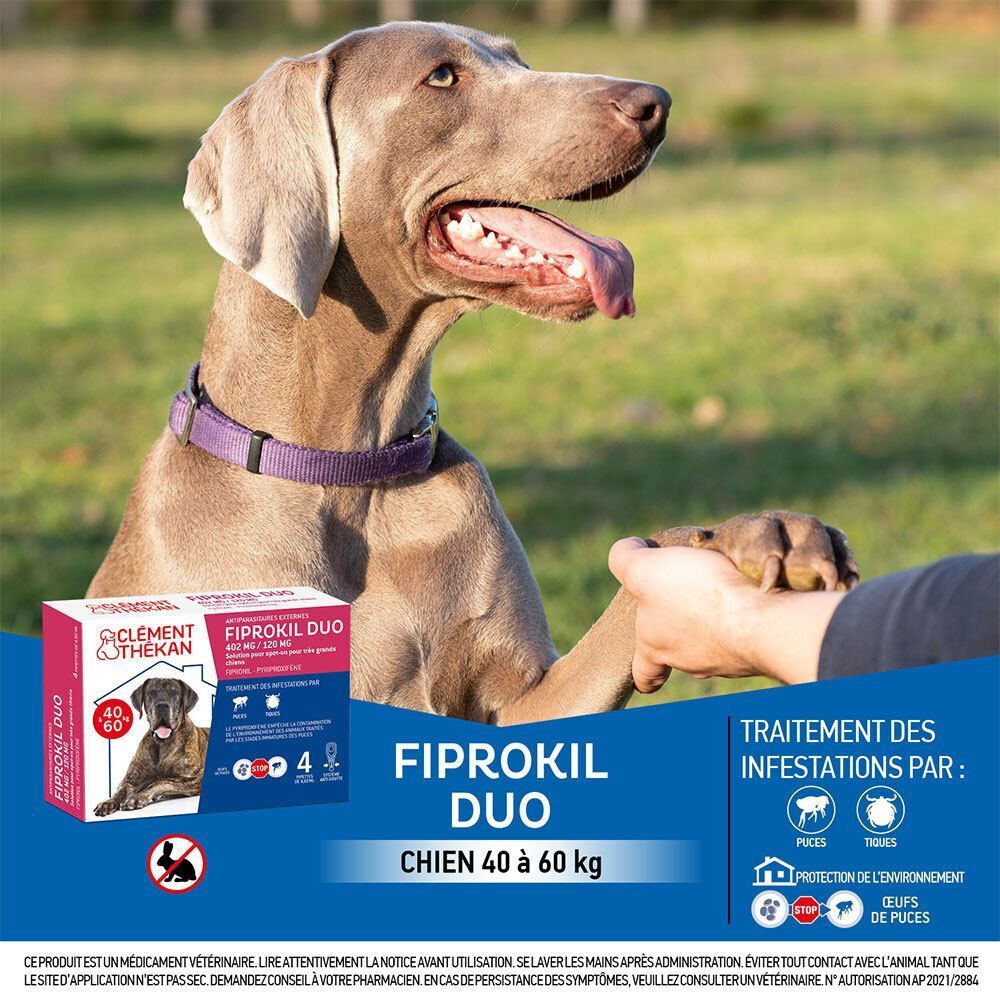 Un chien avec une boîte de Clément Thekan Anti-Puces Anti-Tiques pour chiens (40-60kg).