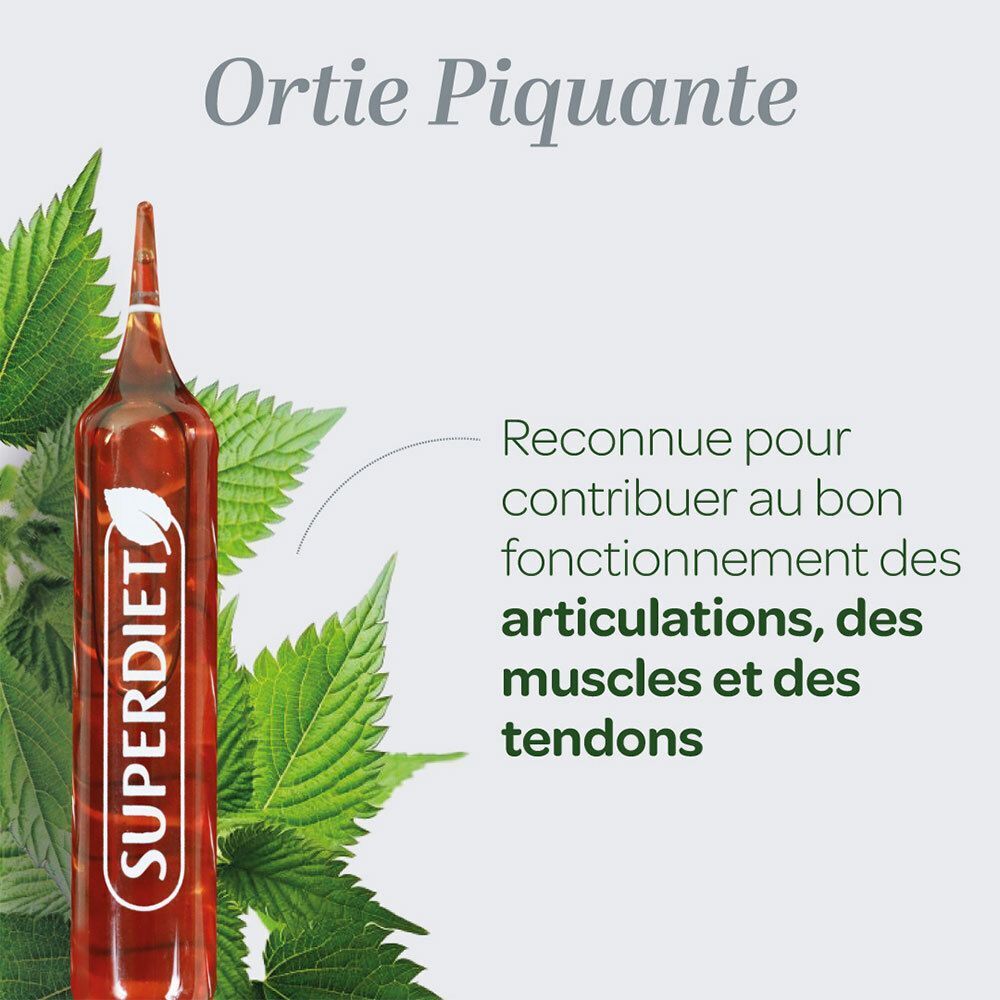 Ampoule individuelle SUPERDIET Ortie piquante BIO à côté de feuilles d'ortie fraîches.