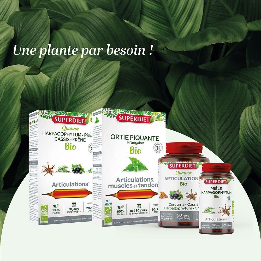 Deux boîtes de SUPERDIET Ortie piquante BIO Ampoules et deux flacons de produits pour articulations.