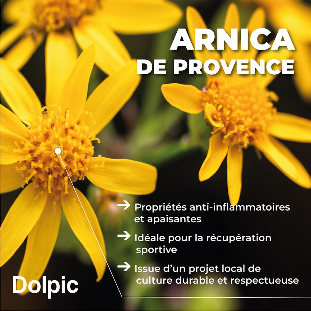 Gros plan sur des fleurs d'arnica jaunes. Texte: Arnica de Provence. Propriétés, projet.