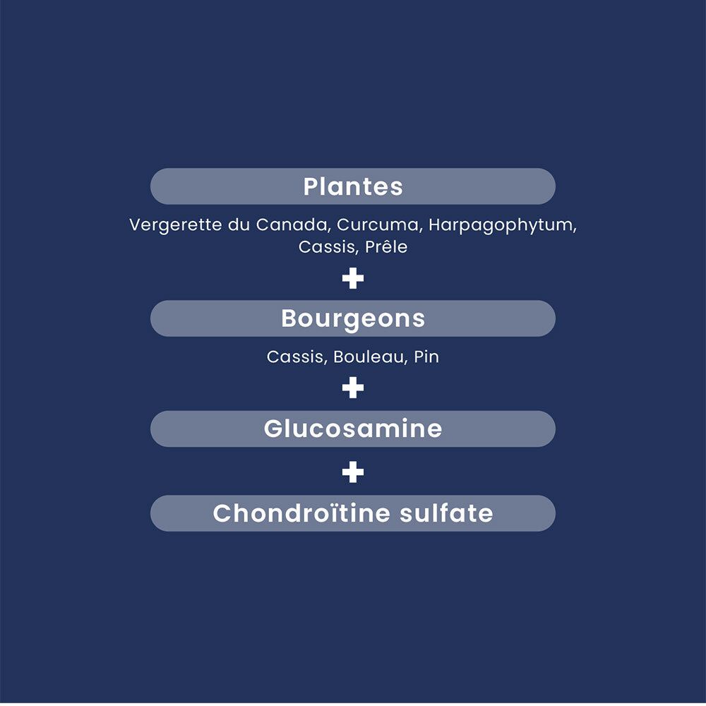 Texte sur fond bleu. Ingrédients : Plantes, bourgeons, glucosamine, sulfate de chondroïtine.