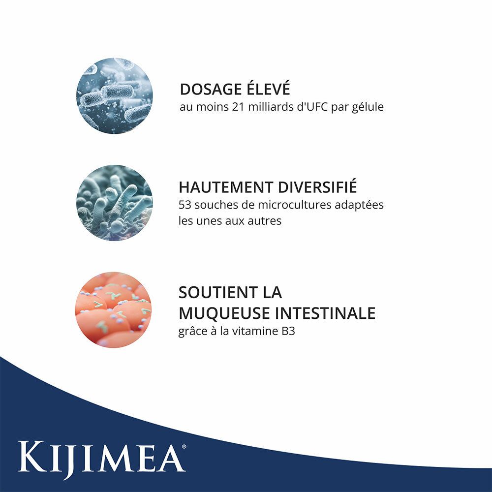 Graphique avec trois cercles. Texte : Dosage élevé, 21 milliards d'UFC par gélule. Hautement diversifié, 53 souches. Soutient la muqueuse intestinale.