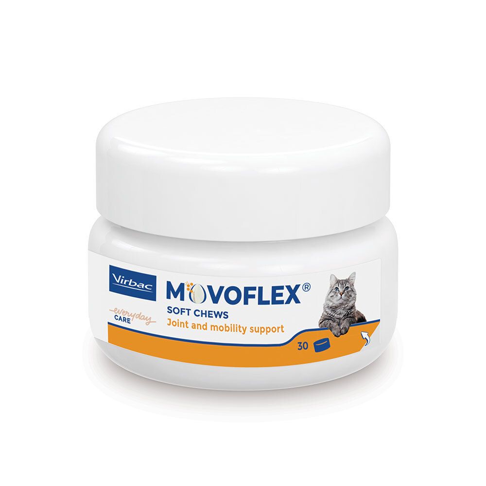 Pot blanc de Movoflex Soft Chews pour chats, soutien articulaire et de mobilité.
