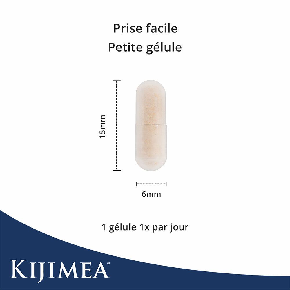 Gélule avec dimensions : 15 mm de long, 6 mm de diamètre. Texte : Prise facile, petite gélule. 1 gélule par jour.