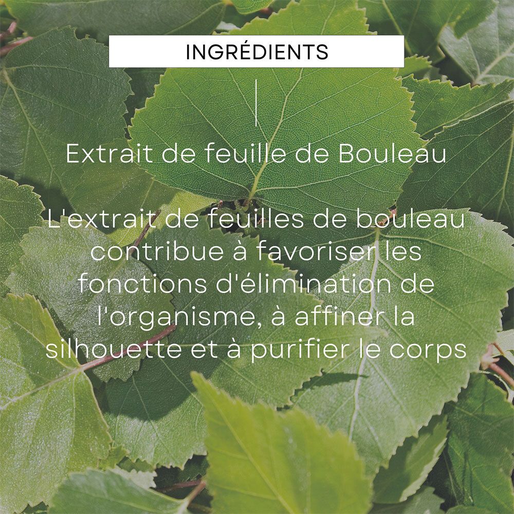 Texte sur les feuilles. Extrait de feuilles de bouleau. Favorise l'élimination, affine la silhouette et purifie le corps.