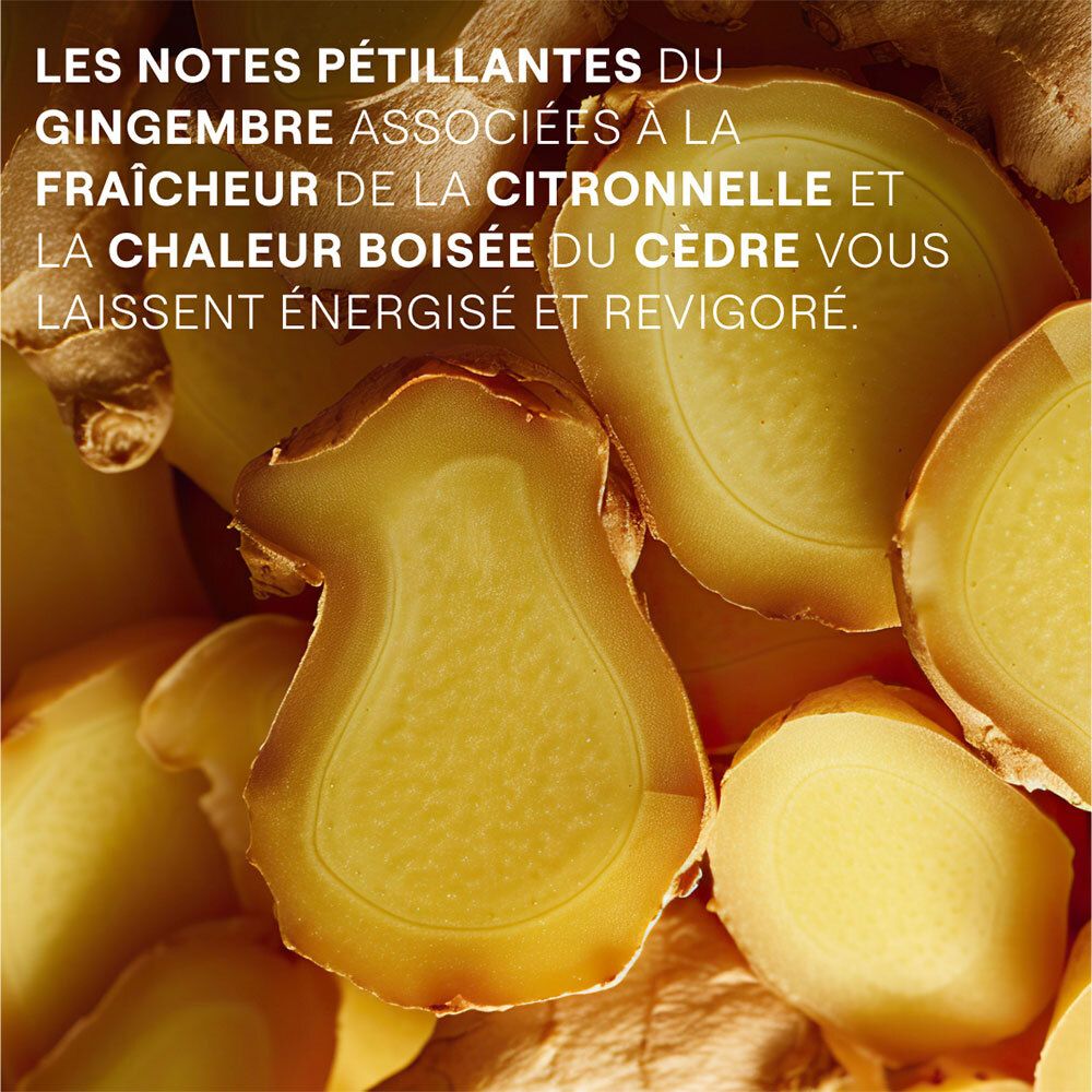 Gros plan sur des tranches de gingembre. Couleur jaunâtre. Texte sur gingembre, citronnelle et bois de cèdre.