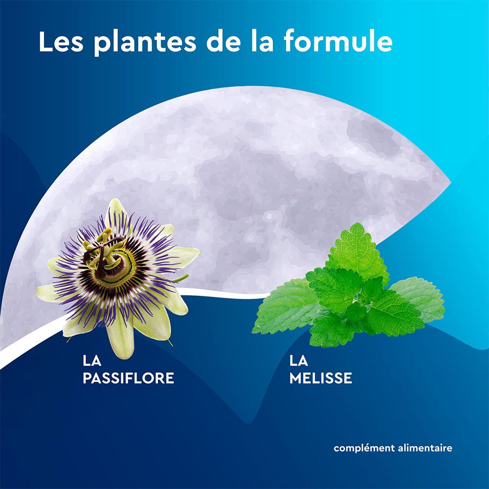 Illustration de passiflore et mélisse. Plantes de la formule. Complément alimentaire.