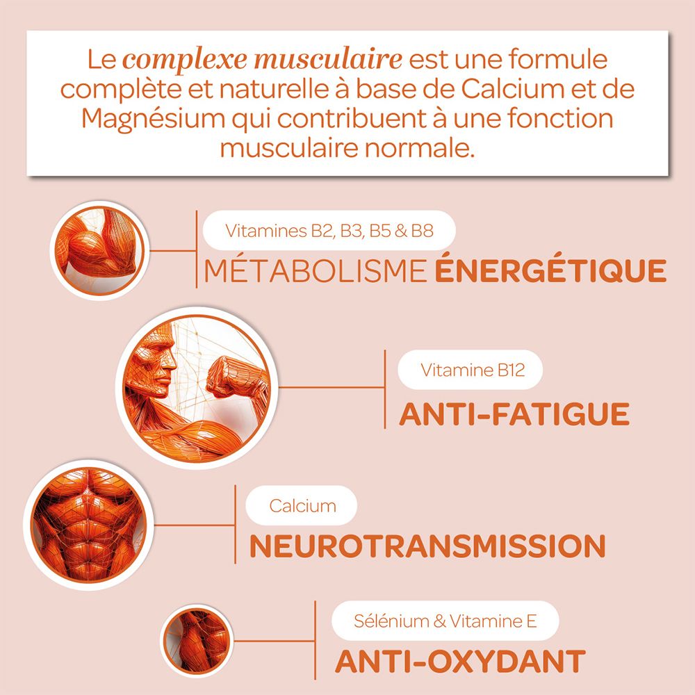 Graphique avec des informations sur les ingrédients. Vitamines B2, B3, B5 & B8, magnésium & calcium, sélénium & vitamine E. Construction musculaire.