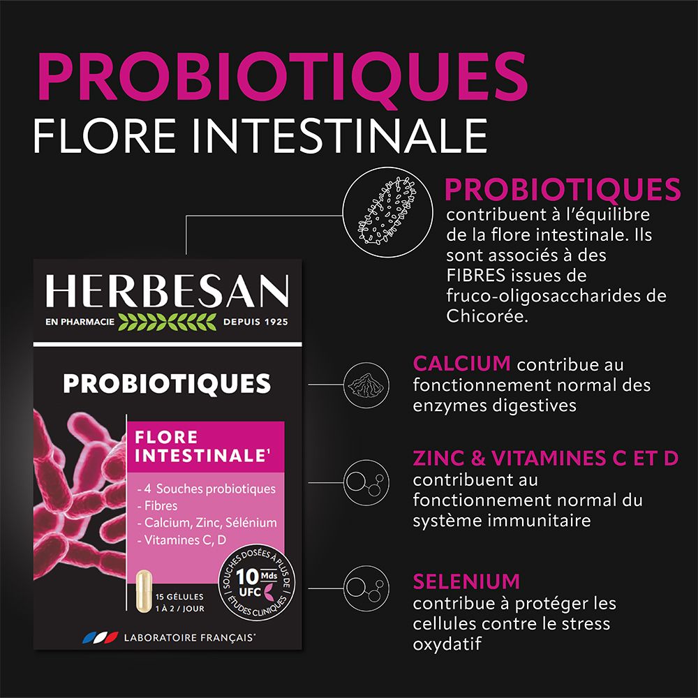 Infographie sur les probiotiques. Explique les bienfaits pour la flore intestinale, calcium, zinc, vitamines C & D, sélénium.