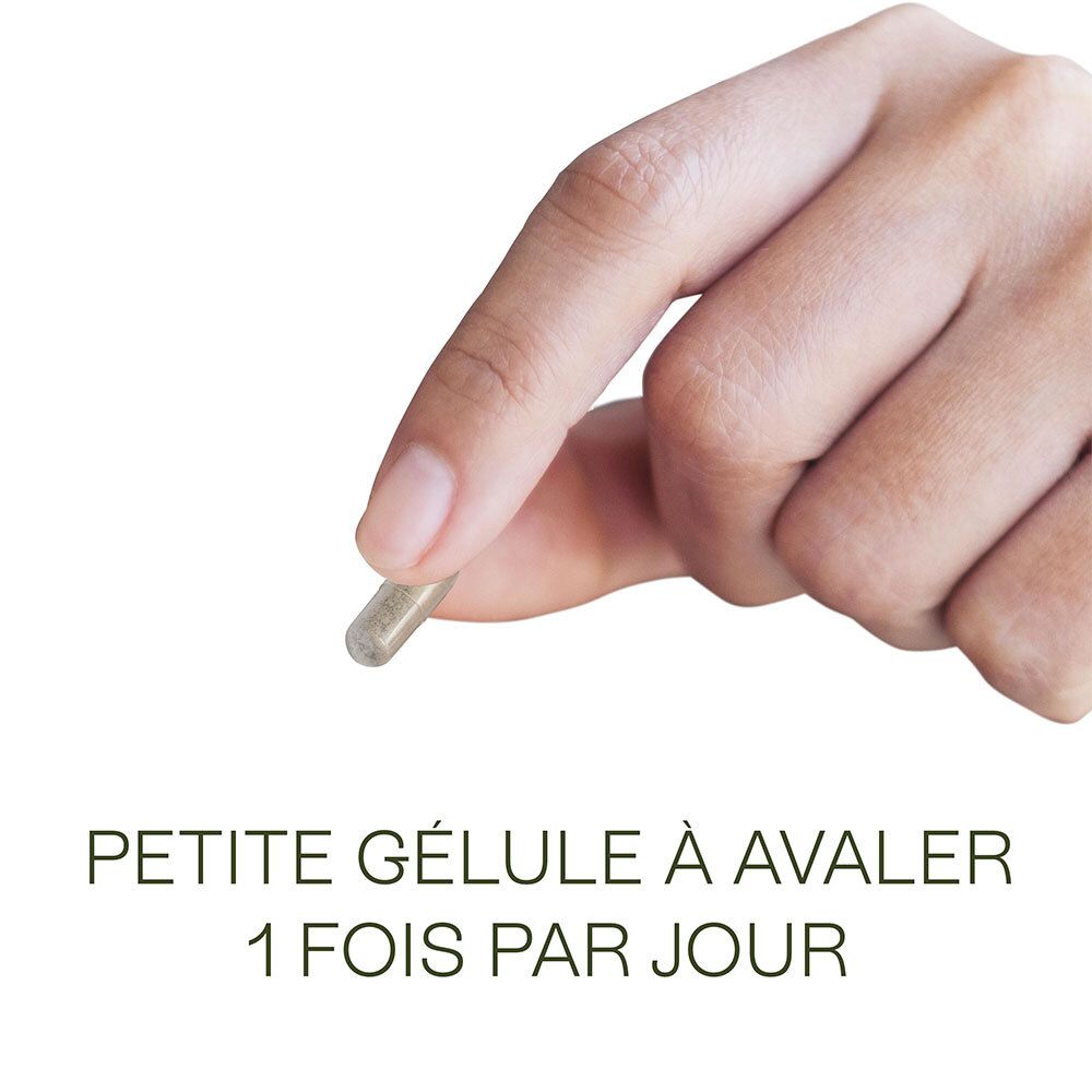 Main tenant une gélule. Inscription : « Petite gélule à avaler 1 fois par jour ».