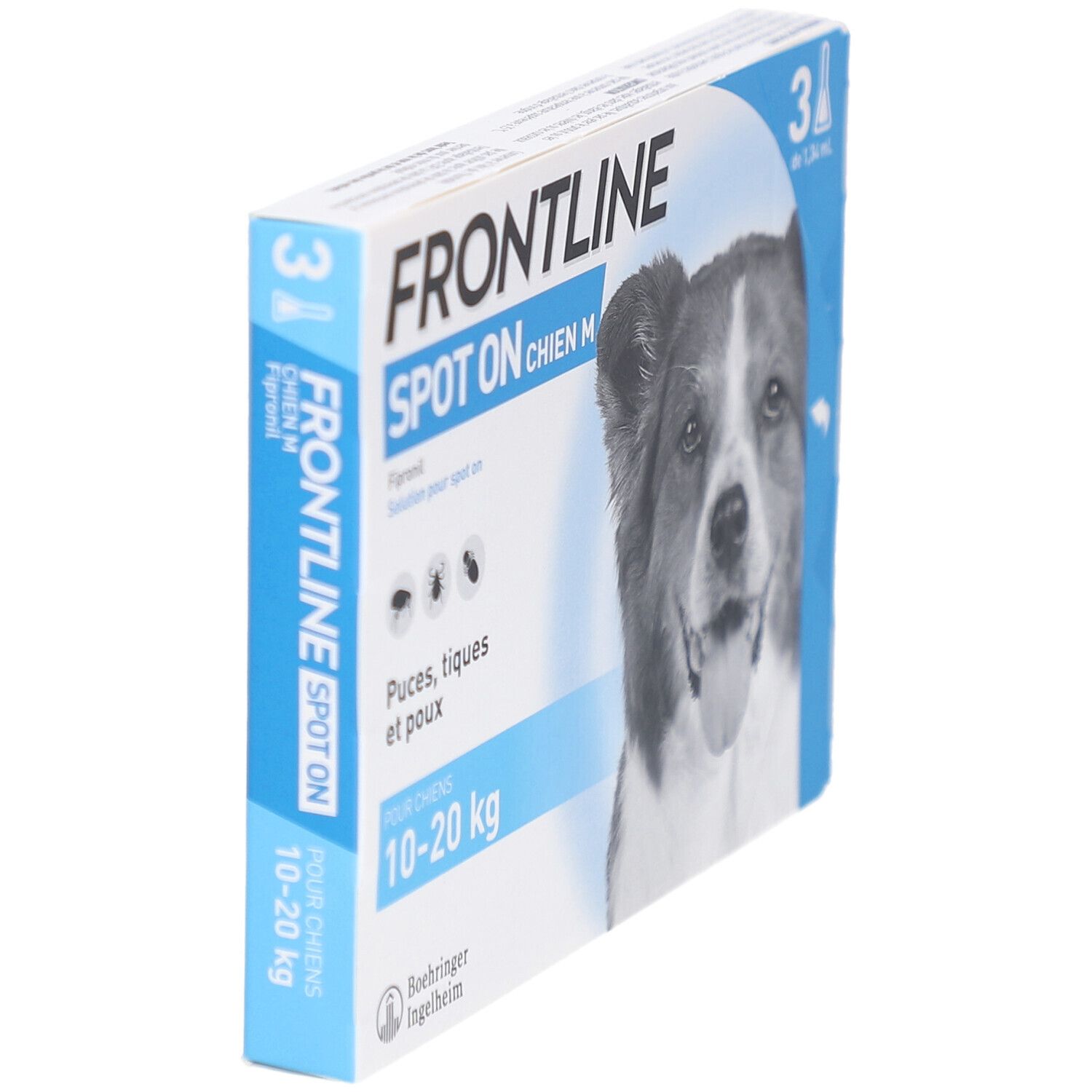 Vue oblique de la boîte FRONTLINE SPOT ON CHIEN M. Contient 3 pipettes. Pour chiens 10-20 kg.