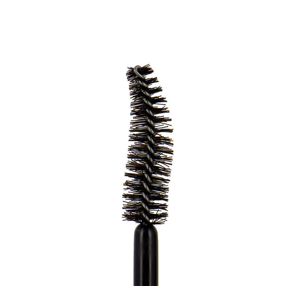 Gros plan d'une brosse de mascara. Soies noires, courbées, sur manche noir.