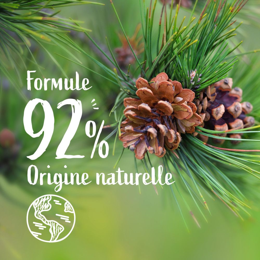 Gros plan sur des branches de pin et des pommes de pin. Texte: 92% d'origine naturelle.