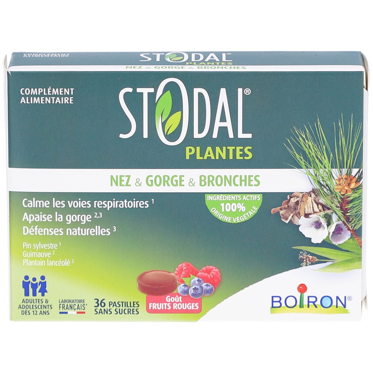 Boîte de STODAL PLANTES. Inscription: Nez & Gorge & Bronches. 36 pastilles, fruits rouges. Logo Boiron.