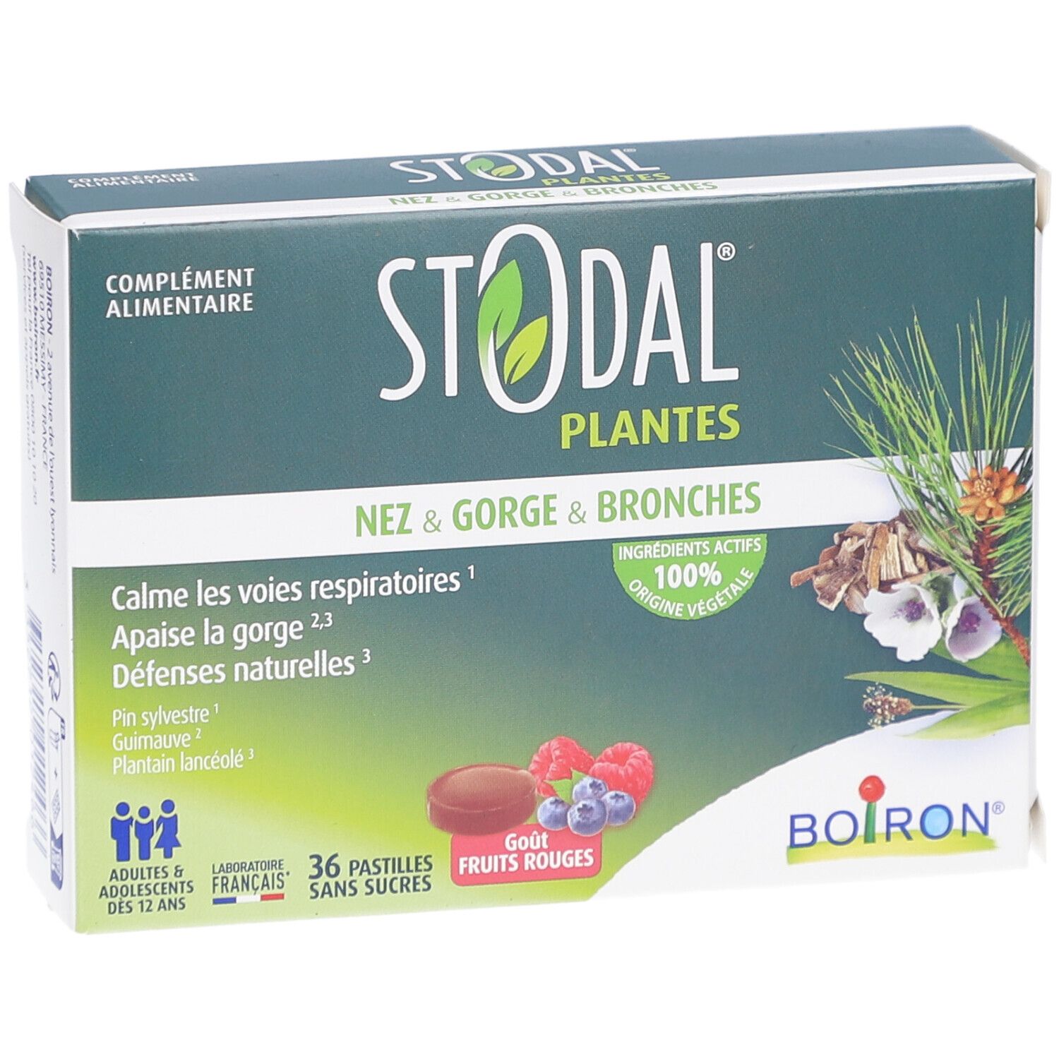 Boîte de STODAL PLANTES. Inscription: Nez & Gorge & Bronches. 36 pastilles, fruits rouges. Logo Boiron.