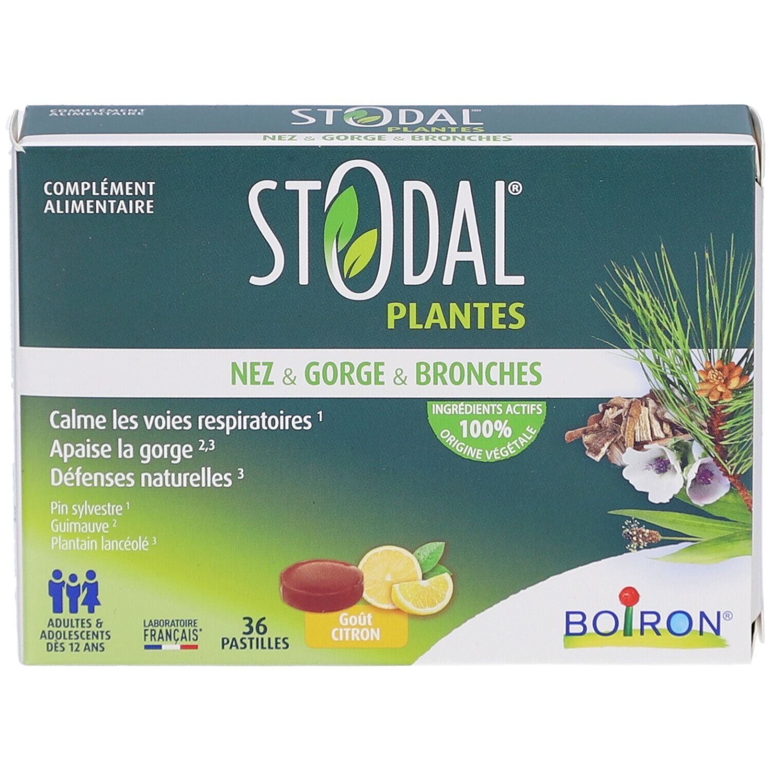 Emballage STODAL PLANTES PAST CITRON. Boîte verte et blanche avec nom et illustrations. 36 pastilles, goût citron.