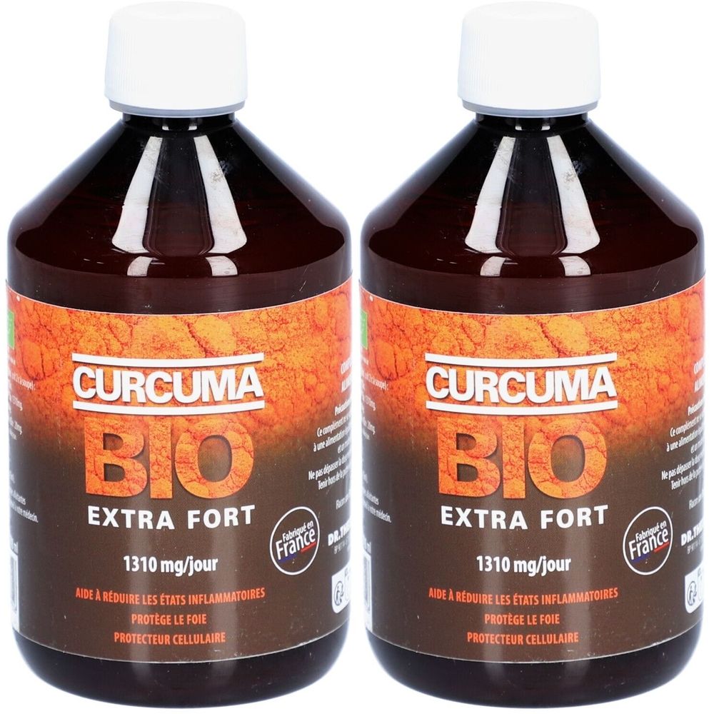 DR THEISS Curcuma Bio Fort Extrait