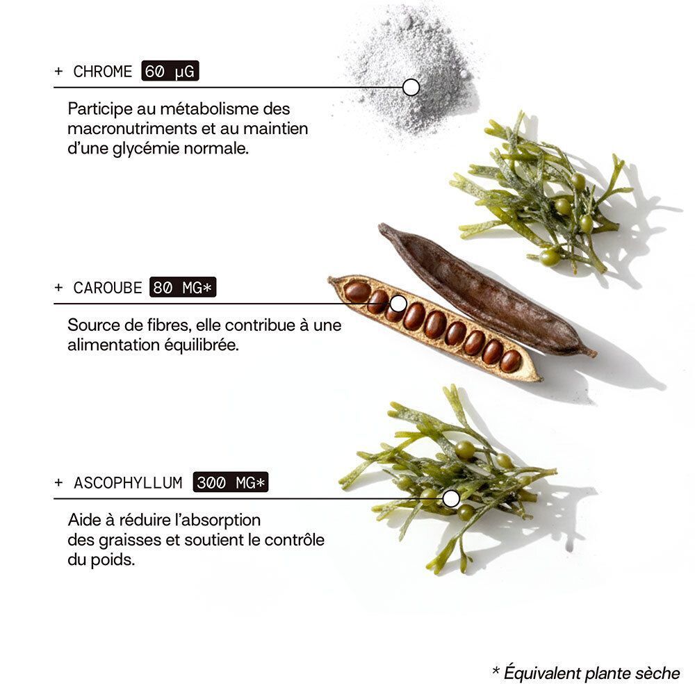 Ingrédients: Chrome, Caroube, Ascophyllum. Texte: Aide à réduire l'absorption des graisses et soutient le contrôle du poids.