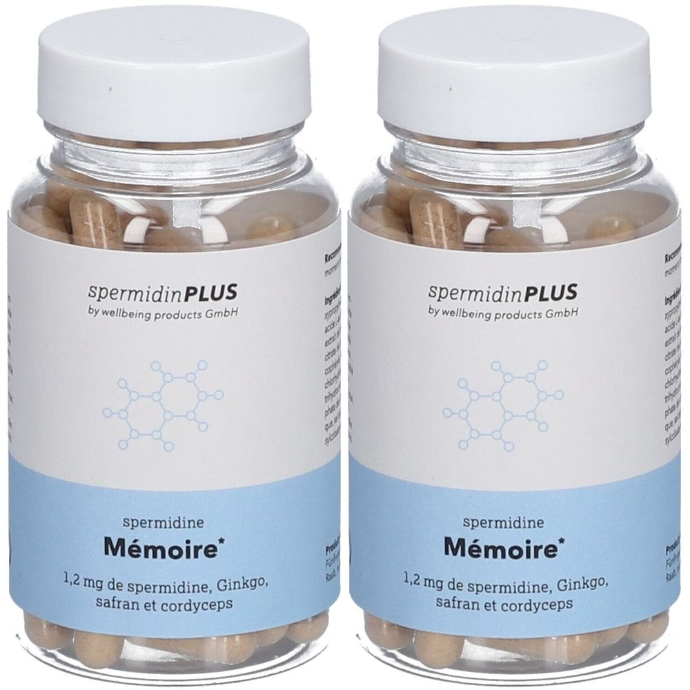 Spermidine Mémoire