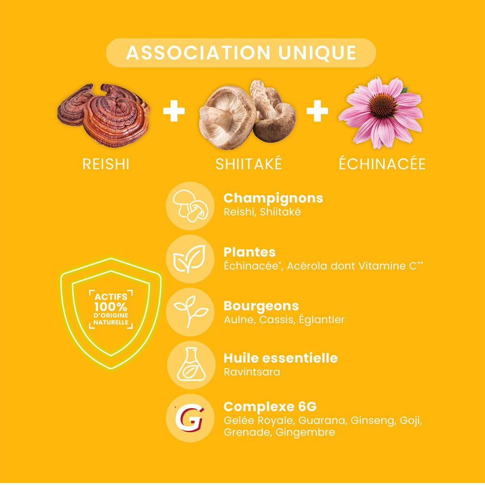 Fond jaune avec illustrations. Reishi, Shiitake, Échinacée. Ingrédients actifs : champignons, plantes, bourgeons, huiles essentielles.