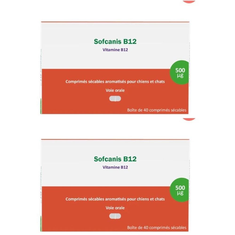 Deux boîtes de "Sofcanis B12 Vitamine B12". Bande orange avec texte. Cercles verts avec "500 µg". Boîte de 40 comprimés.
