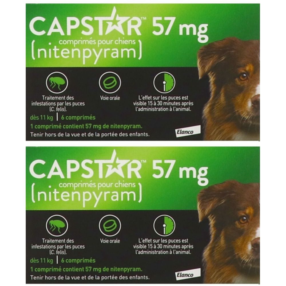 Boîte de Capstar 57 mg comprimés pour chiens. Contient 6 comprimés. Inscription : 'Traitement des infestations par les puces'.