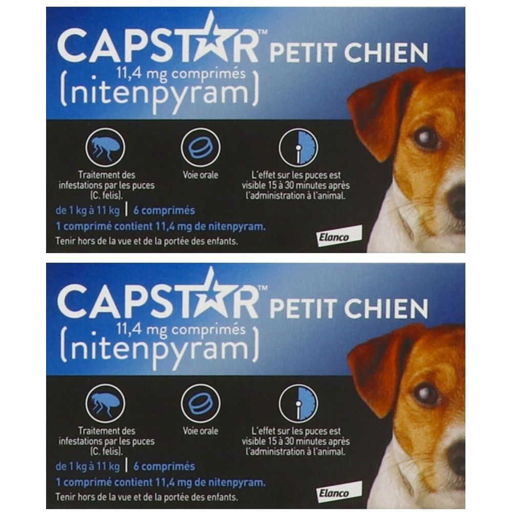 Deux boîtes de CAPSTAR PETIT CHIEN, comprimés 11,4 mg. Inscriptions : traitement des puces, voie orale, effet en 15-30 minutes. Image d'un chien.
