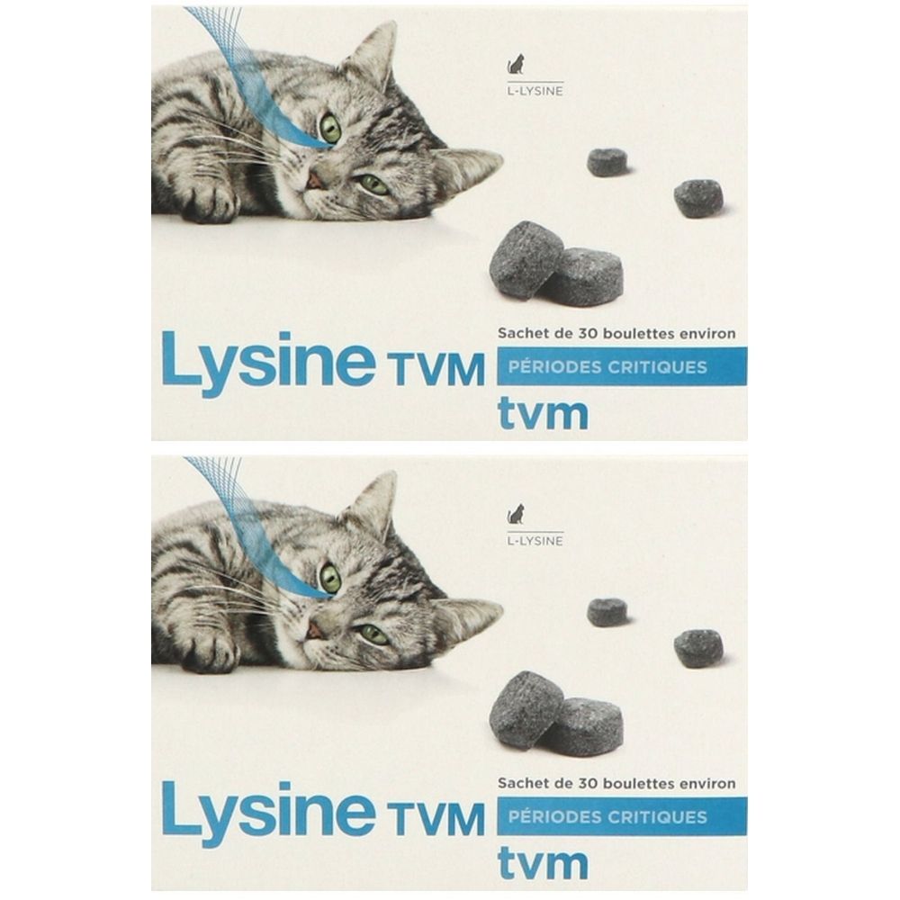 Emballage Lysine TVM avec image de chat et comprimés. Texte: Sachet de 30 boulettes environ, Périodes Critiques, tvm. Logo L-LYSINE.