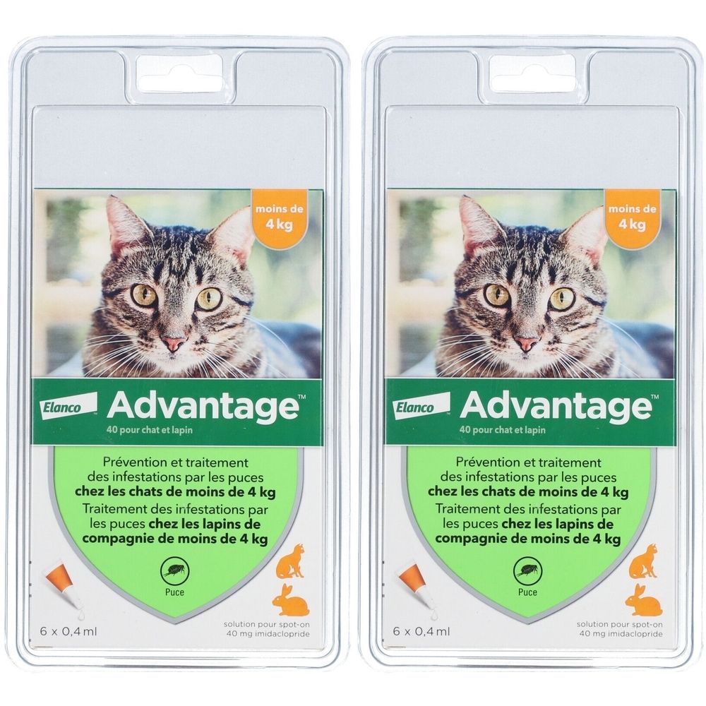 Deux blisters d'Advantage pour chats et lapins. Chaque emballage contient six doses. Inscription : moins de 4 kg.