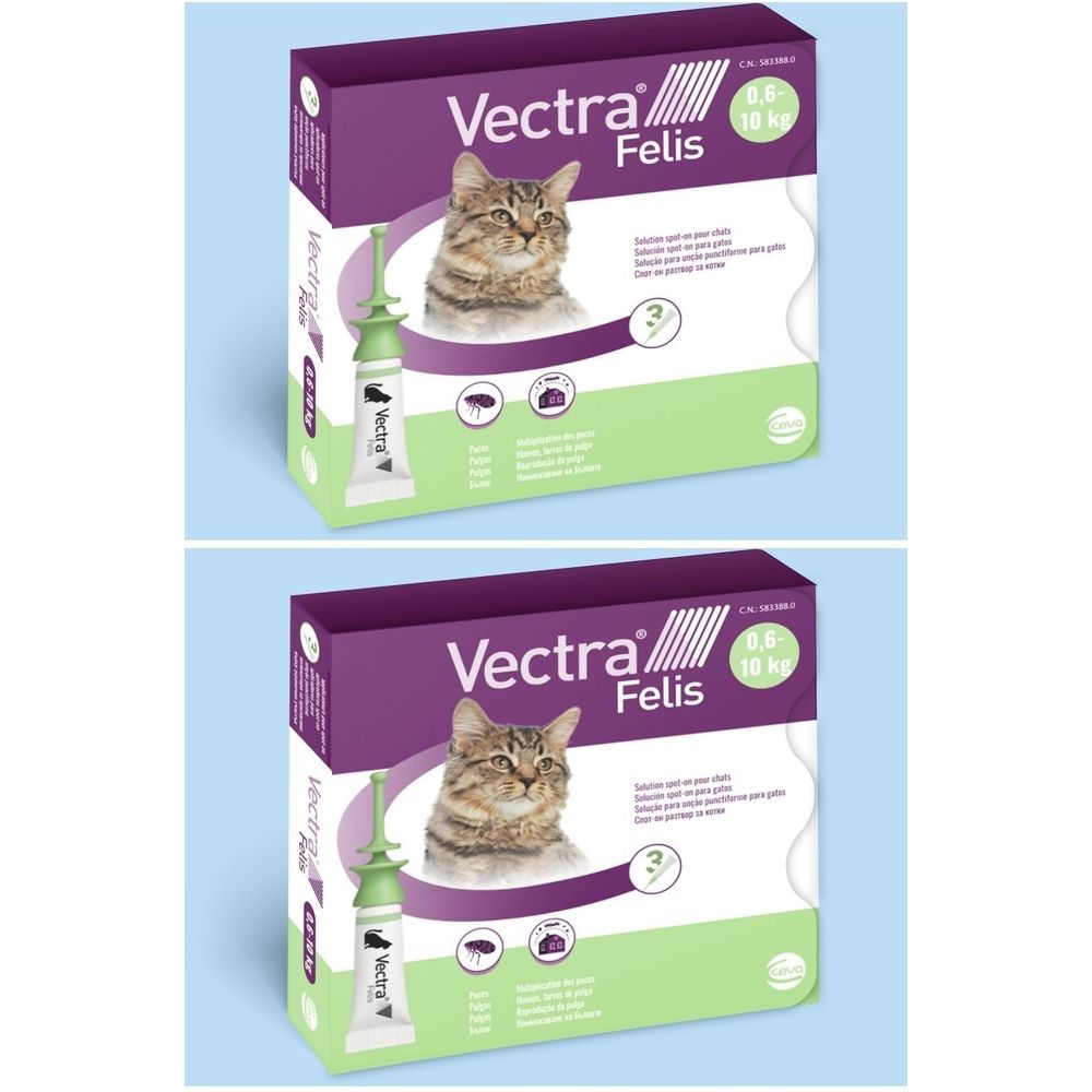 Boîte de Vectra Felis. Illustration de chat, pipette. Texte : 0,6-10 kg, 3. Produit antiparasitaire.