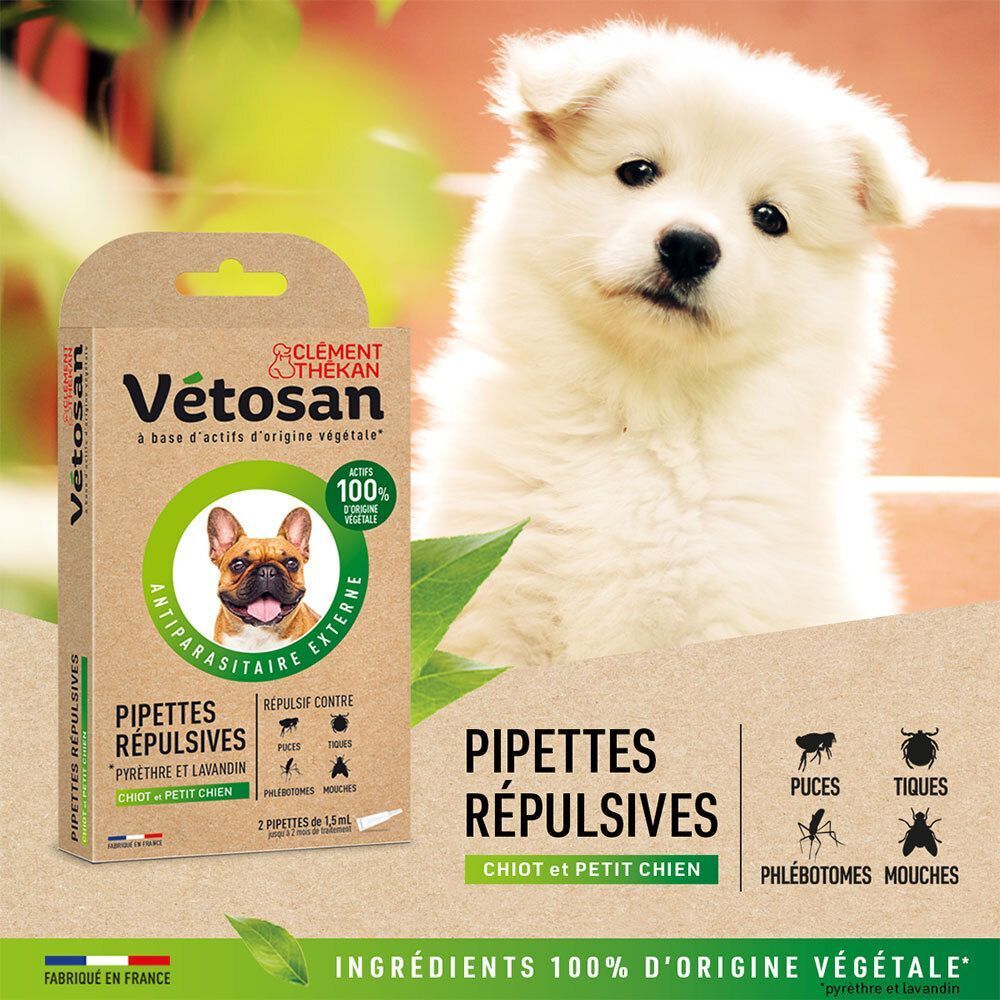 Un chiot à côté d'une boîte de pipettes antiparasitaires pour chiots et petits chiens. "100% d'ingrédients d'origine végétale" est visible.