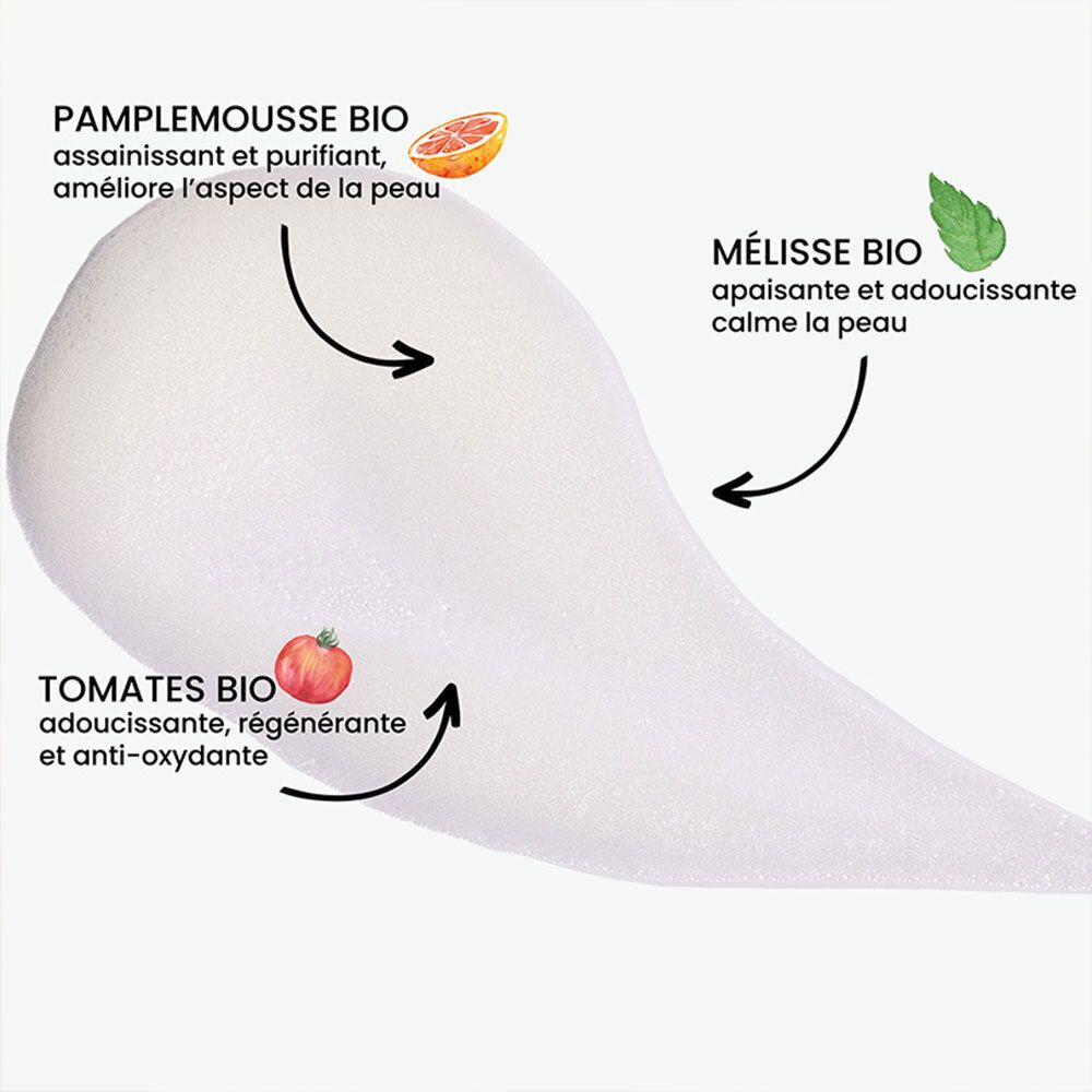 Mousse avec flèches vers ingrédients: pamplemousse bio, mélisse bio, tomates bio. Texte: apaisant, purifiant, régénérant.