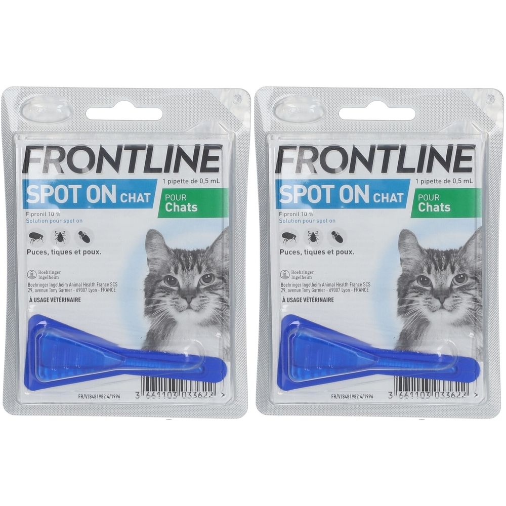 Deux emballages blister de FRONTLINE SPOT ON CHAT. Chaque emballage contient une pipette bleue et une image de chat. Texte: Puces, tiques et poux.