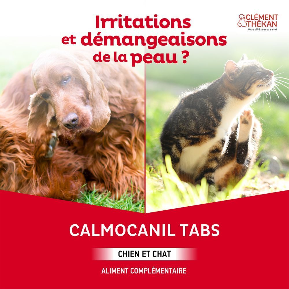 Chien se gratte, chat se gratte. Clément Thekan Calmocanil Tabs, aliment complémentaire pour chiens et chats.