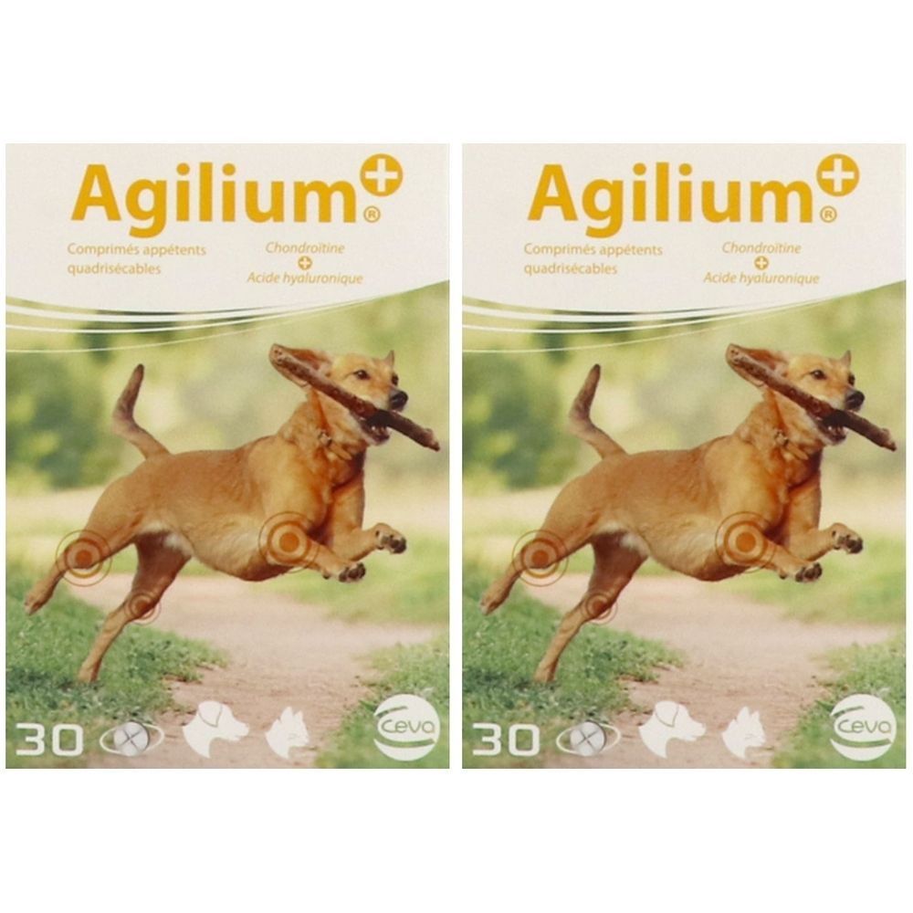Deux boîtes Agilium+®. Inscription : Chondroïtine, Acide hyaluronique. Illustration : chien avec bâton.