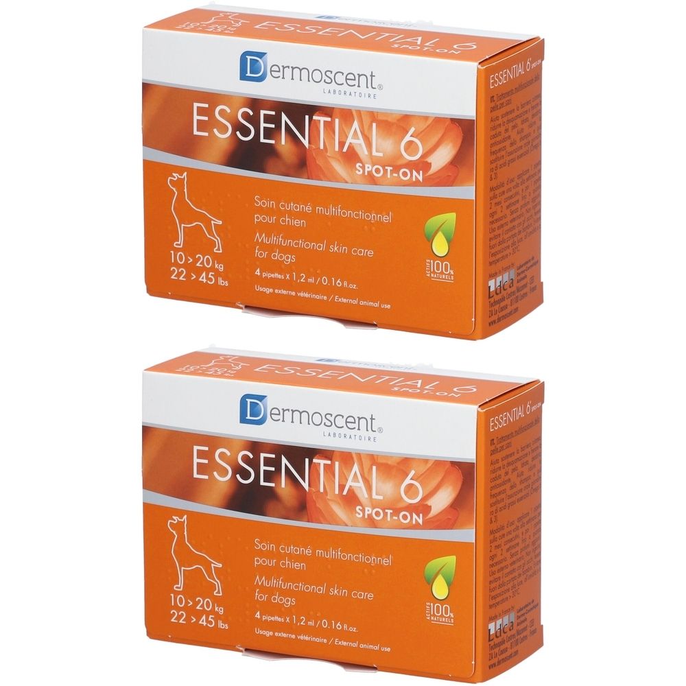 Deux boîtes orange avec impression du produit. Inscription : Dermoscent Essential 6 Spot-On. Contient 4 pipettes.