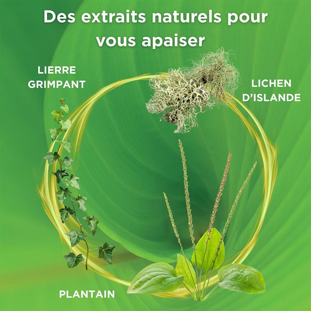 Fond vert avec cercle jaune. Plantes: lierre grimpant, plantain, lichen islandais.