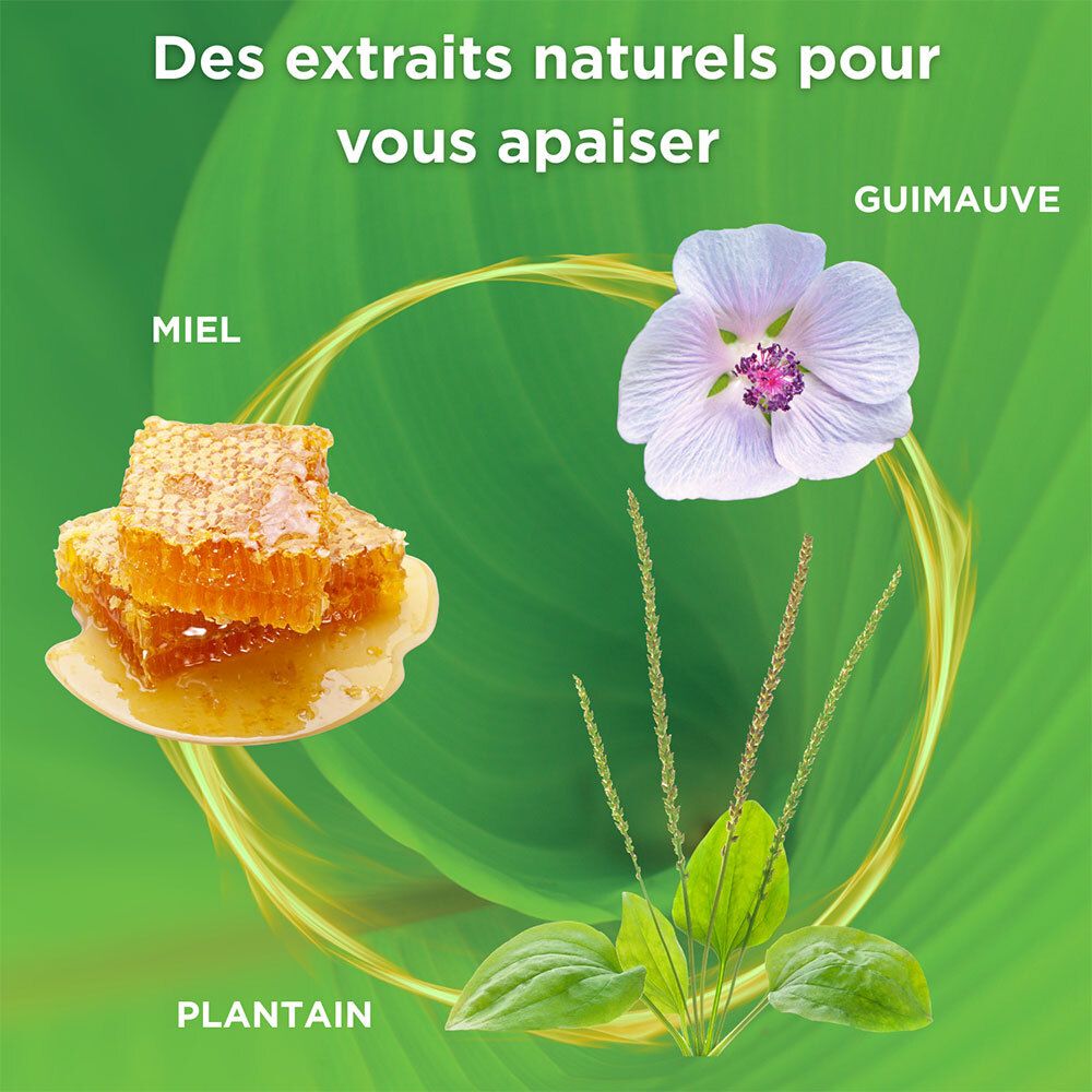 Gros plan sur des rayons de miel, une fleur et des feuilles. Texte sur les ingrédients naturels. Fond vert.