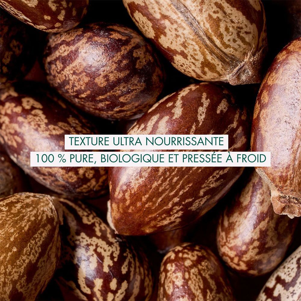 Gros plan sur des fèves de ricin, texture ultra nourrissante, 100% pure, bio, pressée à froid.