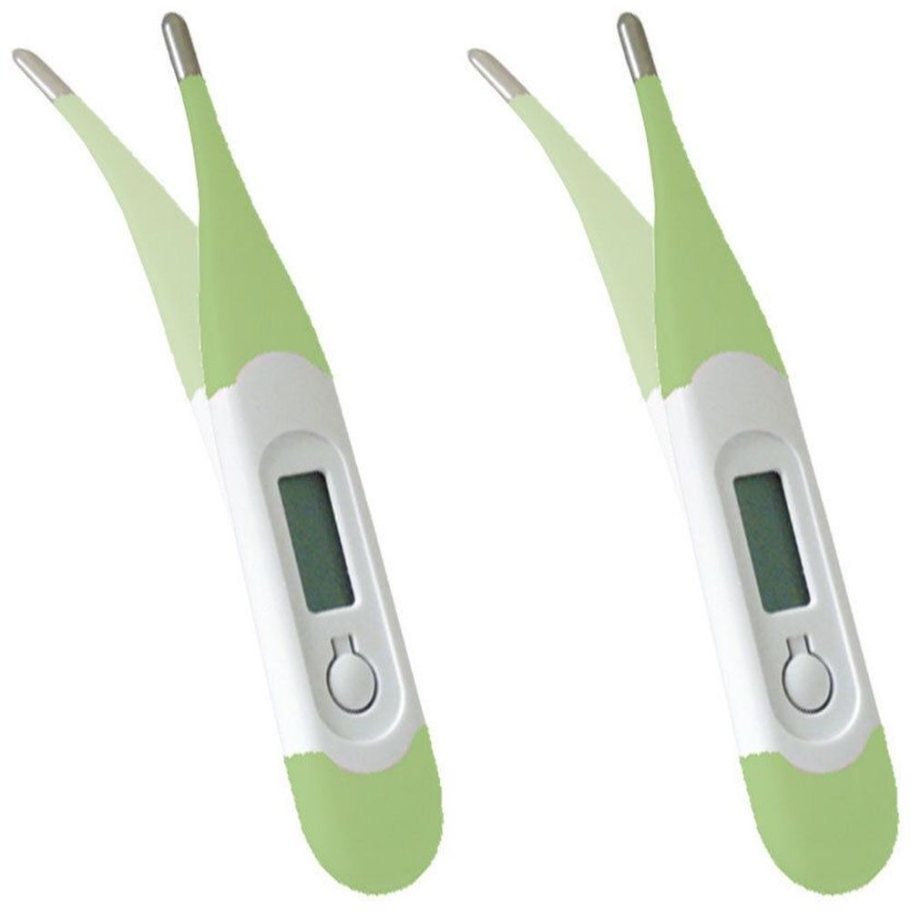 Deux thermomètres numériques. Boîtier vert et blanc, pointe argentée, écran. Bouton.