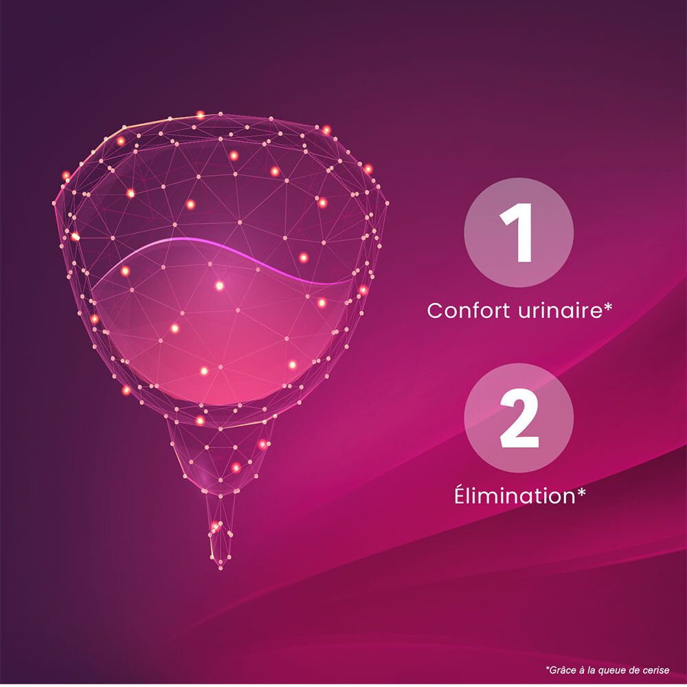 Représentation graphique d'une vessie. Numéro 1: Confort urinaire. Numéro 2: Élimination. Fond: dégradé de rose.