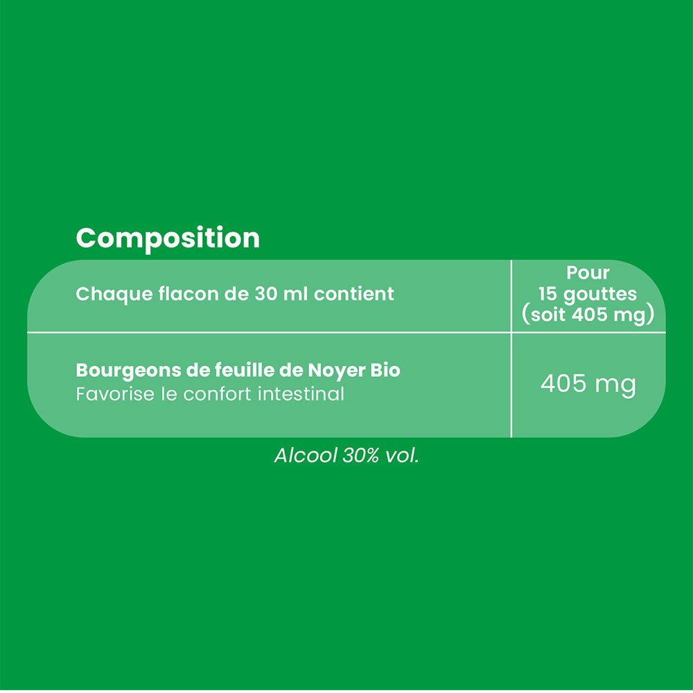 Fond vert avec texte. Composition: Bourgeons de feuille de Noyer Bio. 405 mg.