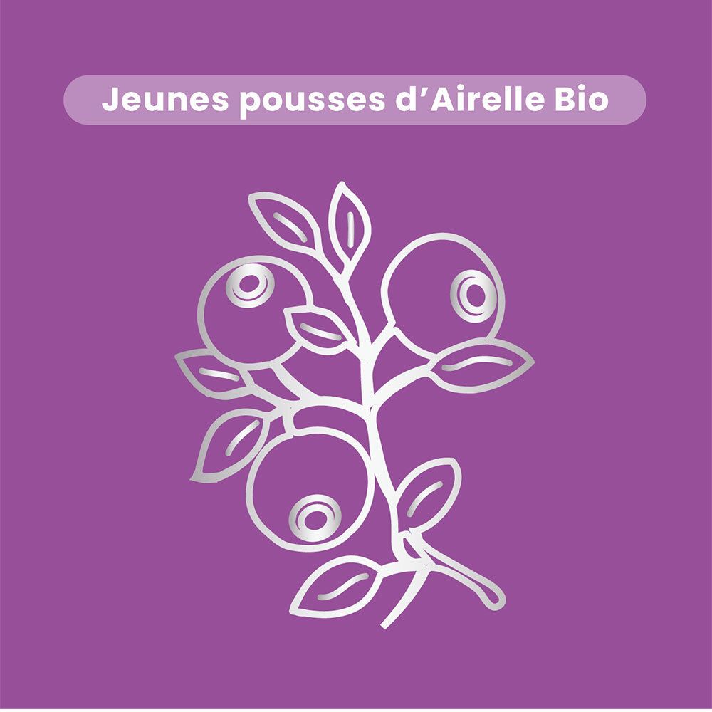 Dessin silhouette de airelles et feuilles sur fond violet. Texte : Jeunes pousses d'Airelle Bio.