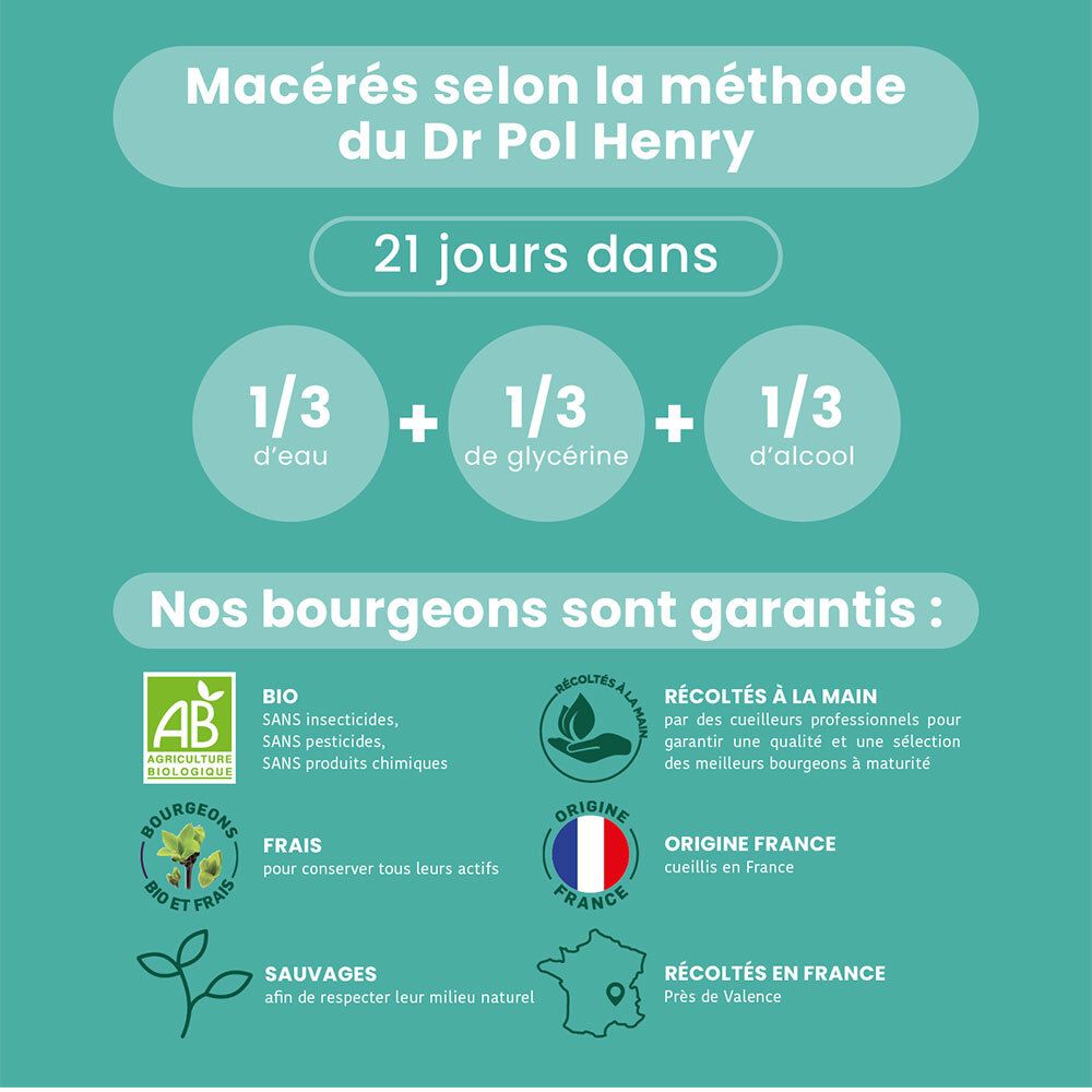 Infographie : 1/3 eau, 1/3 glycérine, 1/3 alcool. Label bio, cueilli à la main, origine France.