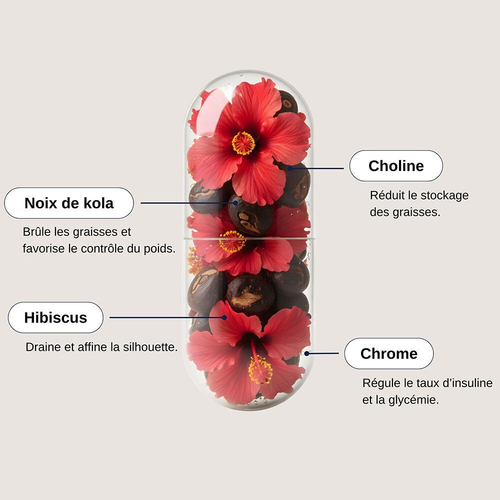Gélule avec ingrédients : Kola, Hibiscus, Choline, Chrome. Texte : brûle les graisses, contrôle du poids, affine la silhouette, régule l'insuline.