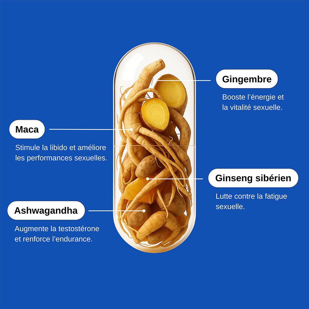Gélule avec ingrédients: Gingembre, Ginseng, Ashwagandha, Maca. Graphique bleu.