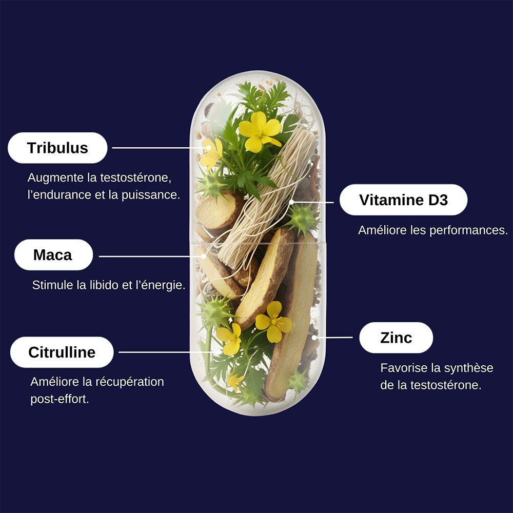 Gélule avec ingrédients: Tribulus, Maca, Citrulline, Vitamine D3, Zinc. Fleurs jaunes et plantes.