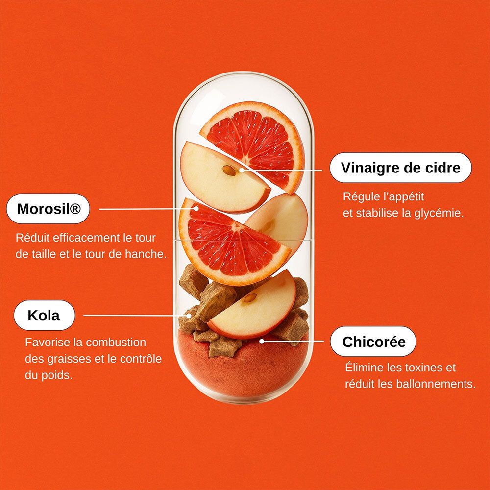 Graphique avec ingrédients: Morosil, Kola, Vinaigre de cidre, Chicorée. Sur fond rouge.